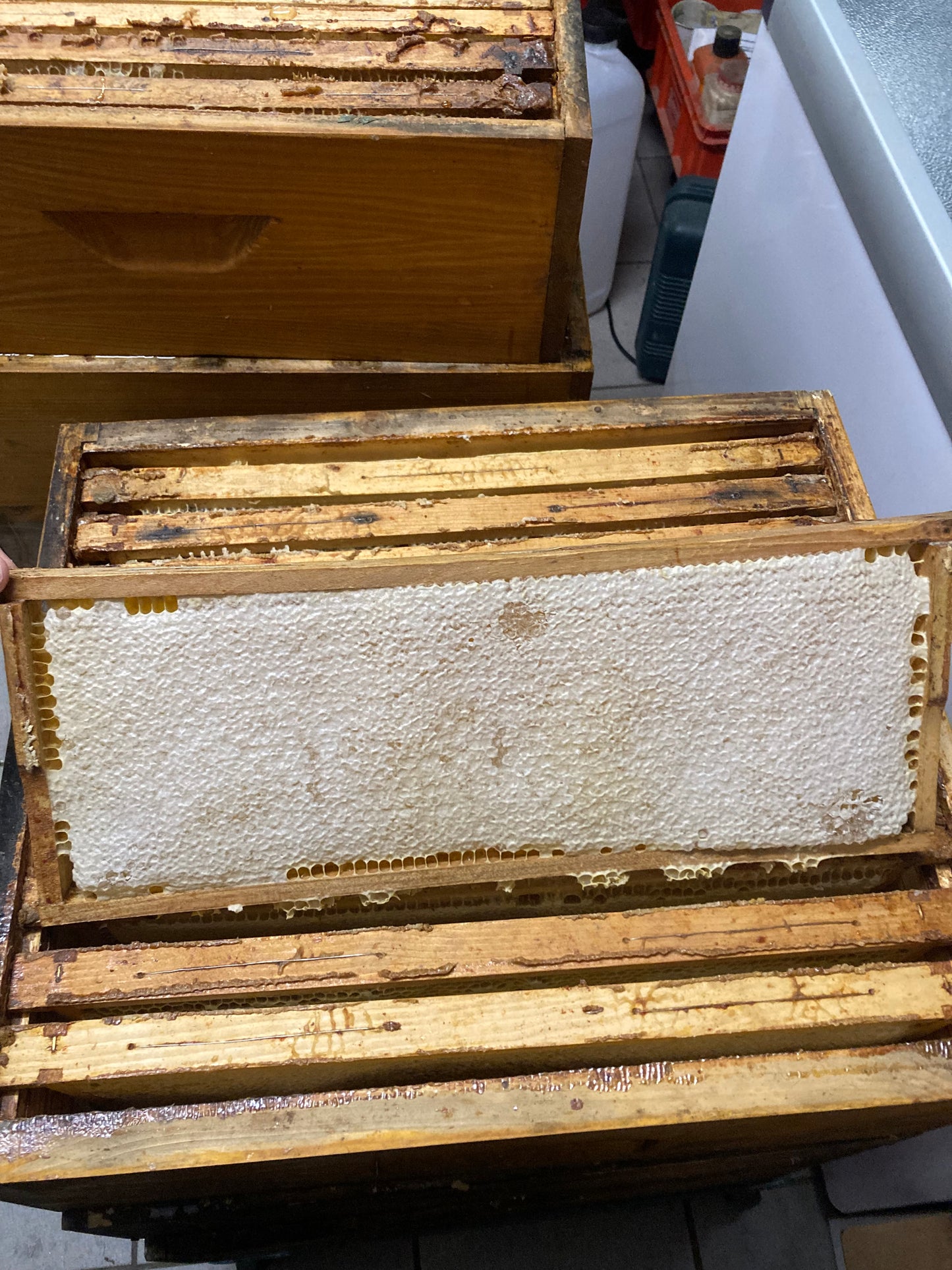 Ganze Honigwabe im Holzrahmen